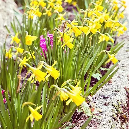 Nocleg ze śniadaniem Chez Veronique Chamborigaud