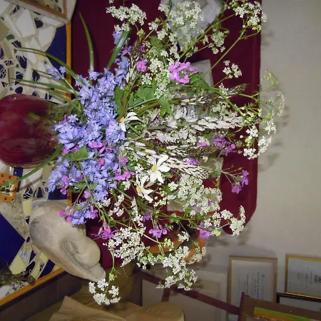 Nocleg ze śniadaniem Chez Veronique